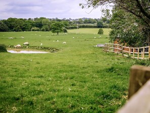 Property grounds - 3 bedroom accommodation in Bickley, near Malpas (Bickley, near Malpas)