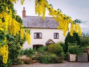 Una casa blanca amb una xemeneia, dues finestres i un jardí amb flors grogues i vegetació.