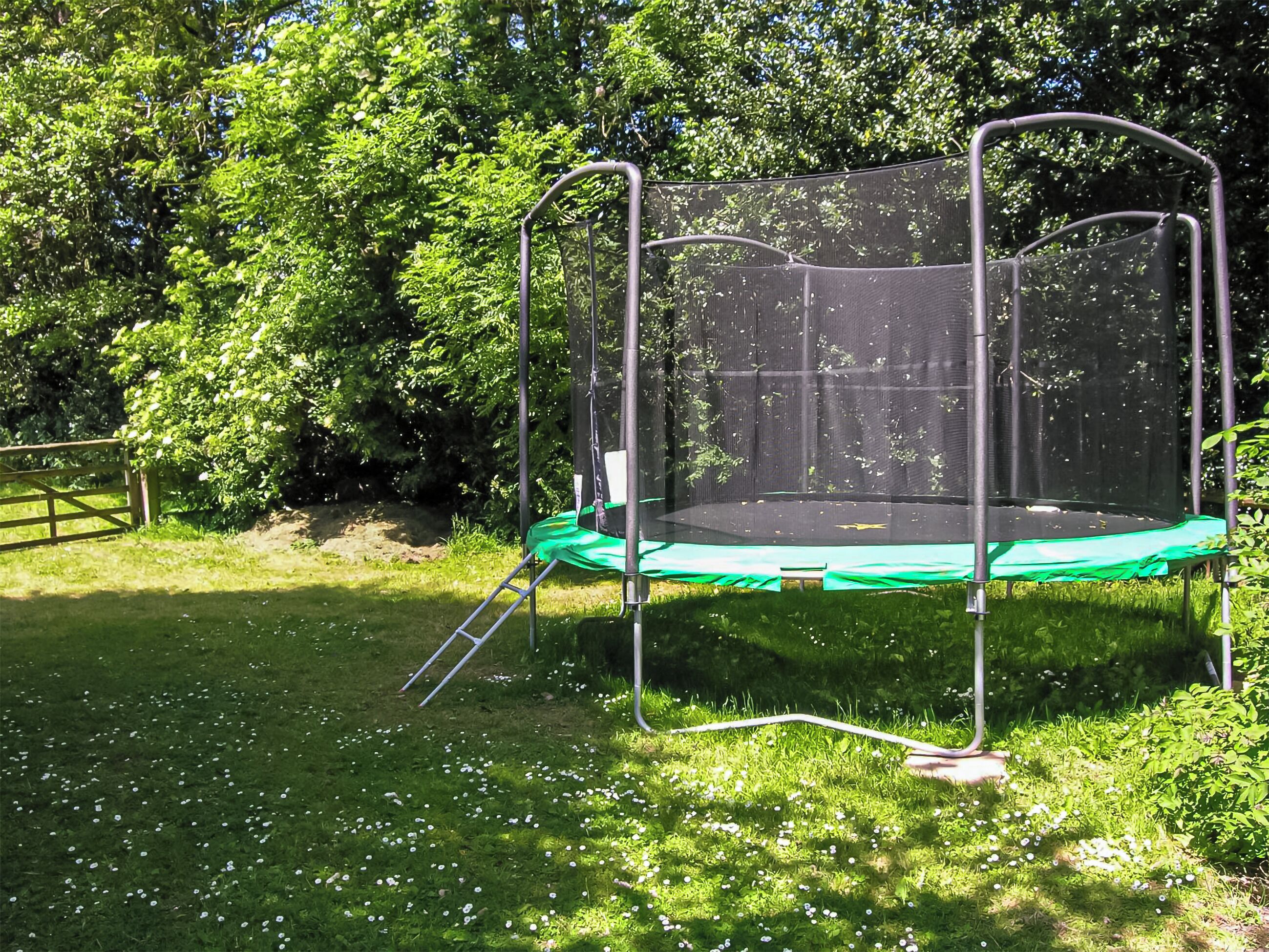 A trampoline with a safety net, surrounded by green grass and trees.