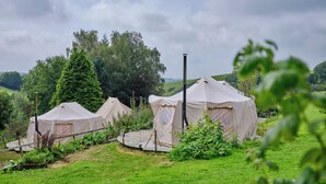 Drei Jurten in einer grünen Wiese, Bäume im Hintergrund.