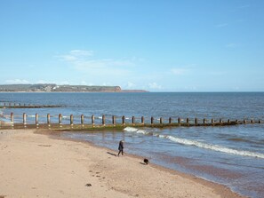 Fishing - 311 Driftwood - UKC5026 (Dawlish)
