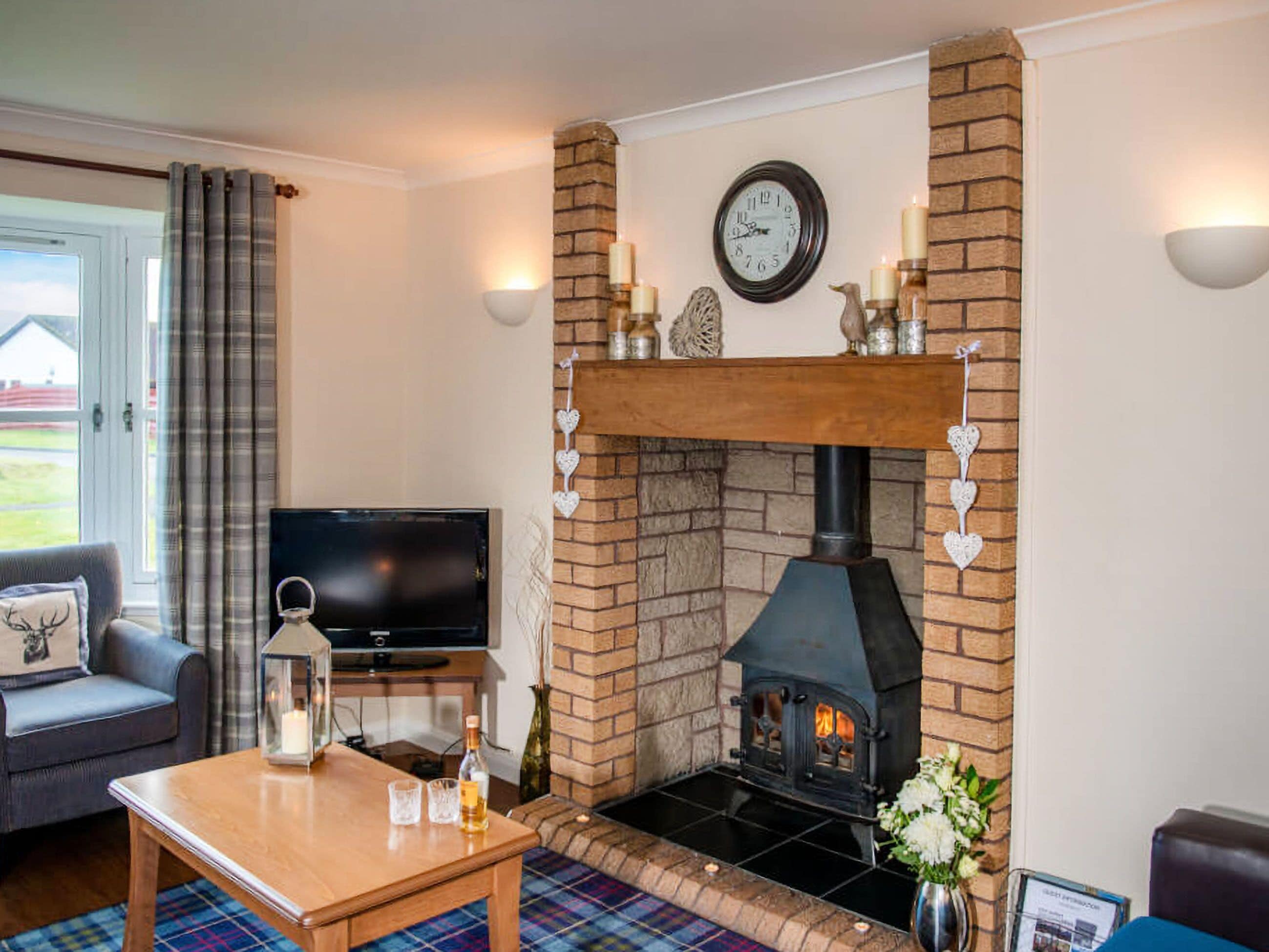 TV, fireplace