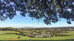 Paisagem rural com uma casa rodeada por campos e árvores.