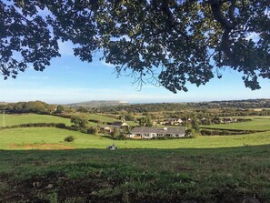 Property grounds - Queen Bower Farm Lodge (Alverstone, near Sandown)