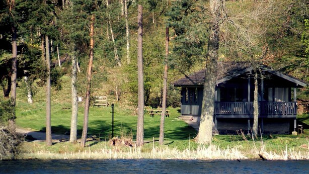 En hytte ved søen med en anløbsbro, omgivet af høje træer og en græsplæne.