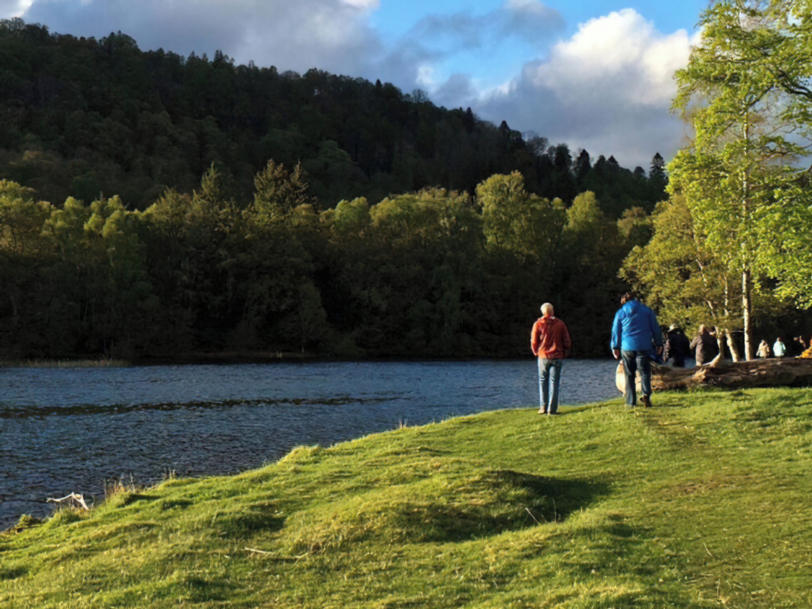 A lakeside view with grassy banks and trees in the background.