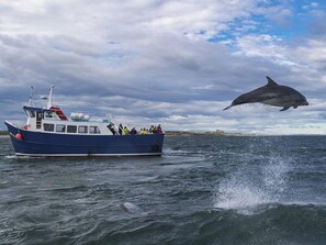 Miscellaneous - Fishermans Corner - UKC5301 (Beadnell)