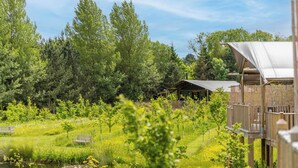 A wooden cabin with a deck, surrounded by a lush garden and a pond. - 2 bedroom accommodation in Stanton-On-The-Wolds (Stanton-On-The-Wolds)