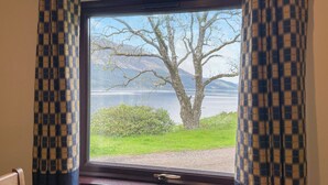 Una ventana con vistas a un árbol y un lago.