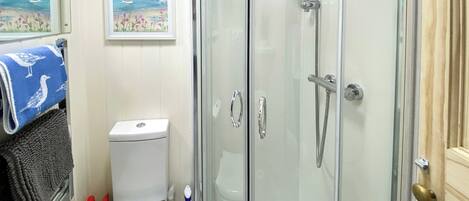 A bathroom with a glass-enclosed shower, a toilet, and a sink.