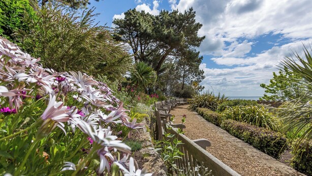 Een tuinpad met bankjes, omringd door verschillende planten en bomen.
