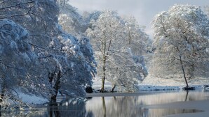 A serene winter landscape with snow-covered trees and a calm lake reflecting the trees. - Cedar Chalet 11 - UKC5234 (Crieff)