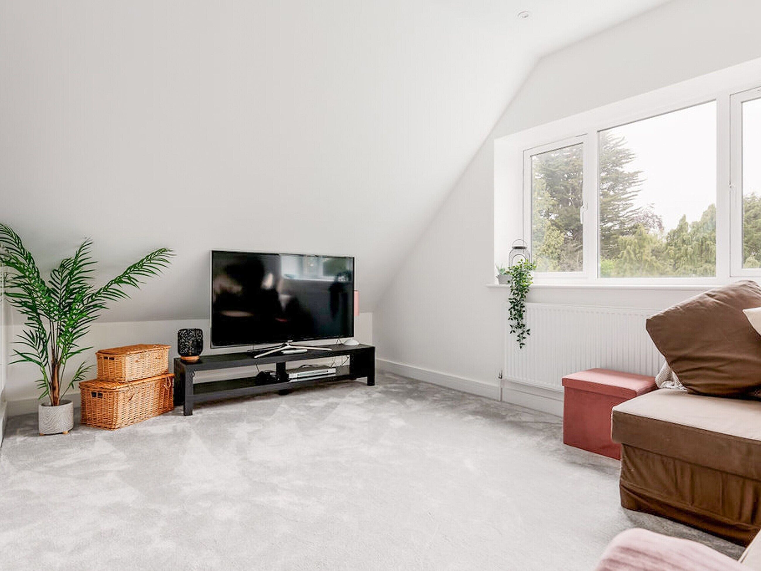 TV