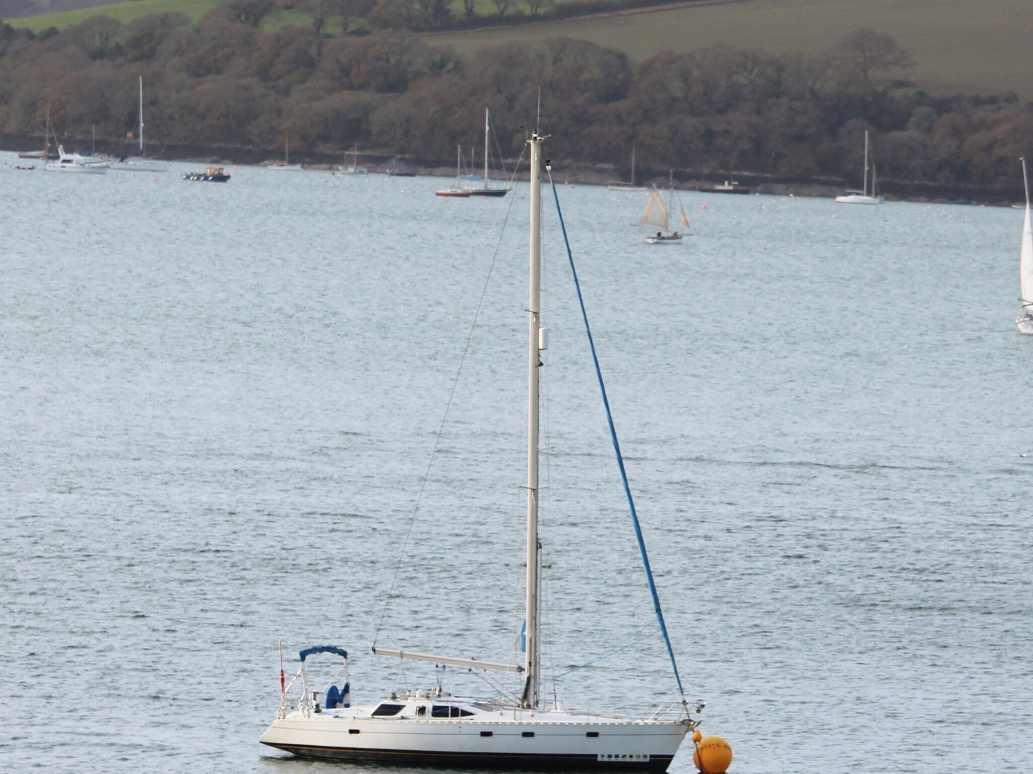 A sailboat on calm water with a forested shoreline in the background.