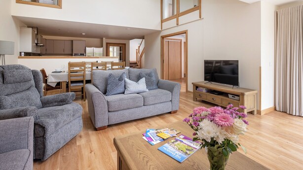 Ein modernes Wohnzimmer mit grauem Sofa, einem Holztisch und einem Fernsehschrank.
