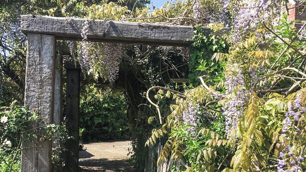A wooden archway in a garden with purple flowers and greenery. - 1 bedroom accommodation in Wooton Fitzpaine, near Charmouth (Wooton Fitzpaine, near Charmouth)