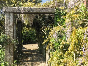 Property grounds - 5 bedroom accommodation in Wooton Fitzpaine, near Charmouth (Wooton Fitzpaine, near Charmouth)
