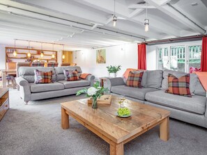 TV, fireplace - The Old Mill-UKC6178 (Marldon, near Paignton)