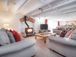 TV, fireplace - The Old Mill-UKC6178 (Marldon, near Paignton)