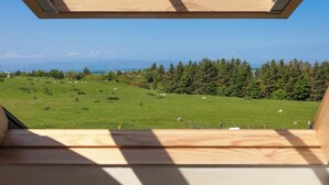 Blick von einem Zimmer mit Oberlicht auf ein grünes Feld mit Schafen und Bäumen.