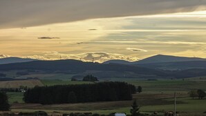 Paesaggio rurale con dolci colline, una zona boschiva e turbine eoliche in lontananza.