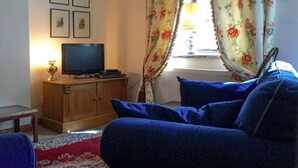 Uma sala de estar com uma televisão sobre um armário de madeira, um sofá azul e um tapete estampado.