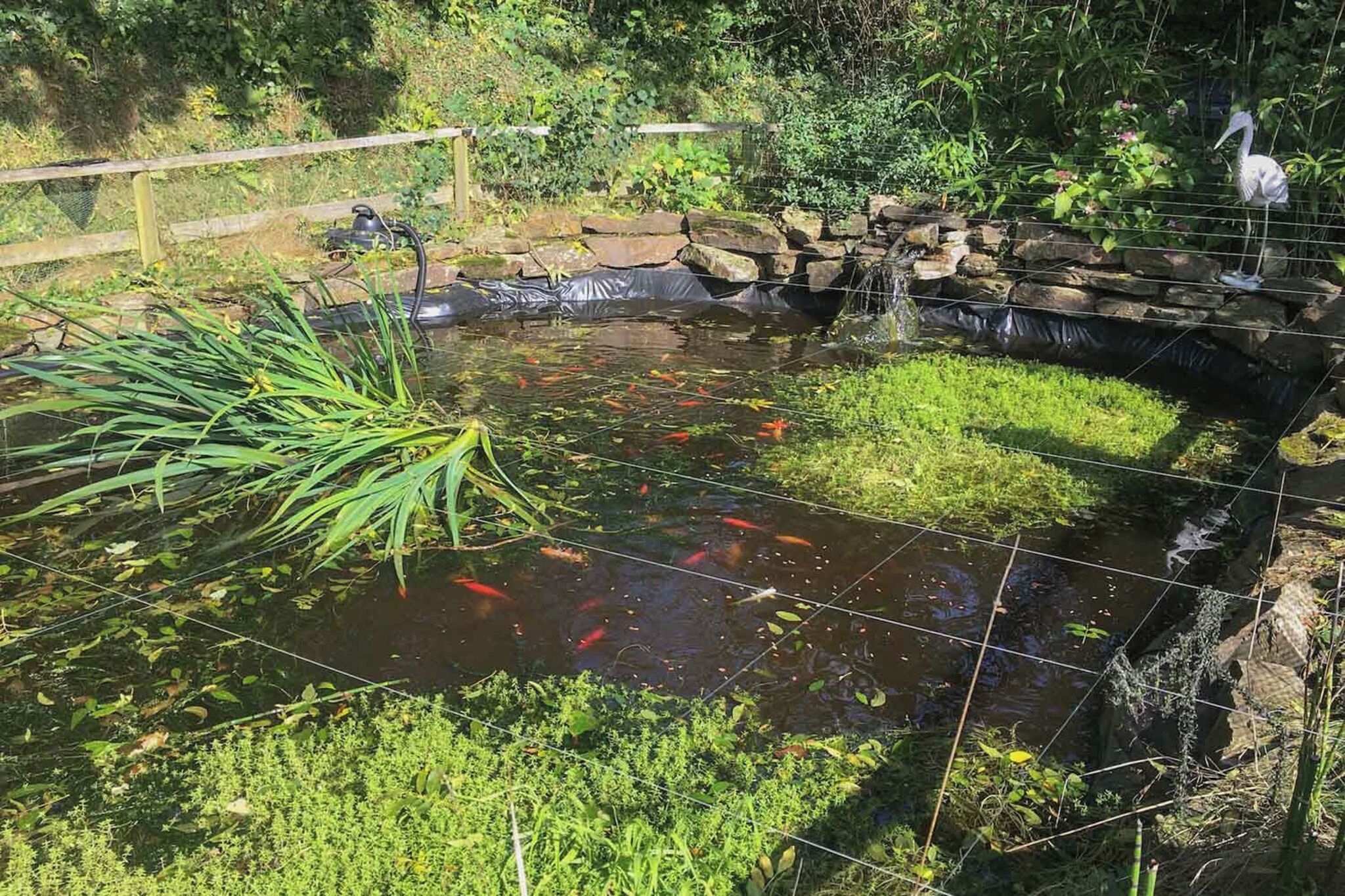 A koi pond with a wooden bridge, surrounded by rocks and greenery.