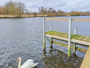 A wooden dock extending into a calm body of water with a swan swimming nearby. - 2 bedroom accommodation in Brundall (Brundall)
