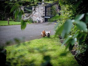 Une allée pavée mène à une entrée fermée par un portail, avec des murs en pierre et un portail en métal.