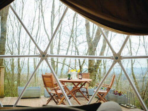 The Tree Dome - UKC6979