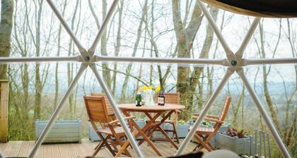 The Tree Dome - UKC6979