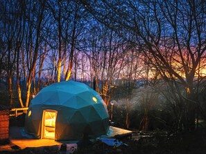 Exterior - The Tree Dome - UKC6979 (Ludlow)