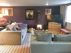 TV, fireplace - Shippon Cottage - UKC6303 (Foolow, near Hope Valley)