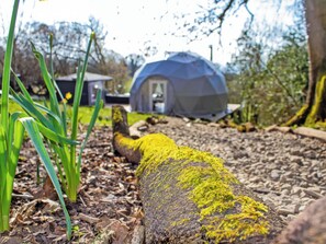 Property grounds - The Star Dome - UKC6978 (Ludlow)