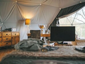 Interior - The Star Dome - UKC6978 (Ludlow)