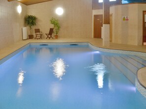 Piscina interior con paredes de azulejos, dos plantas en macetas y sillas de madera.