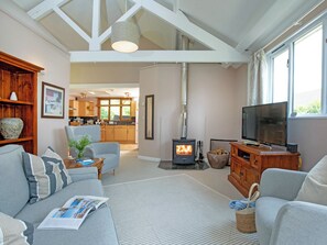 TV, fireplace - 2 bedroom accommodation in Bovey Tracey (Bovey Tracey)