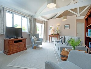 TV, fireplace - 2 bedroom accommodation in Bovey Tracey (Bovey Tracey)