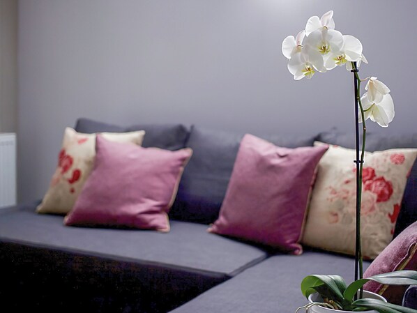 A modern living room with a grey sofa, purple and floral cushions, and a white orchid plant. - 1 bedroom accommodation in Oldmeldrum, near Inverurie (Oldmeldrum, near Inverurie)