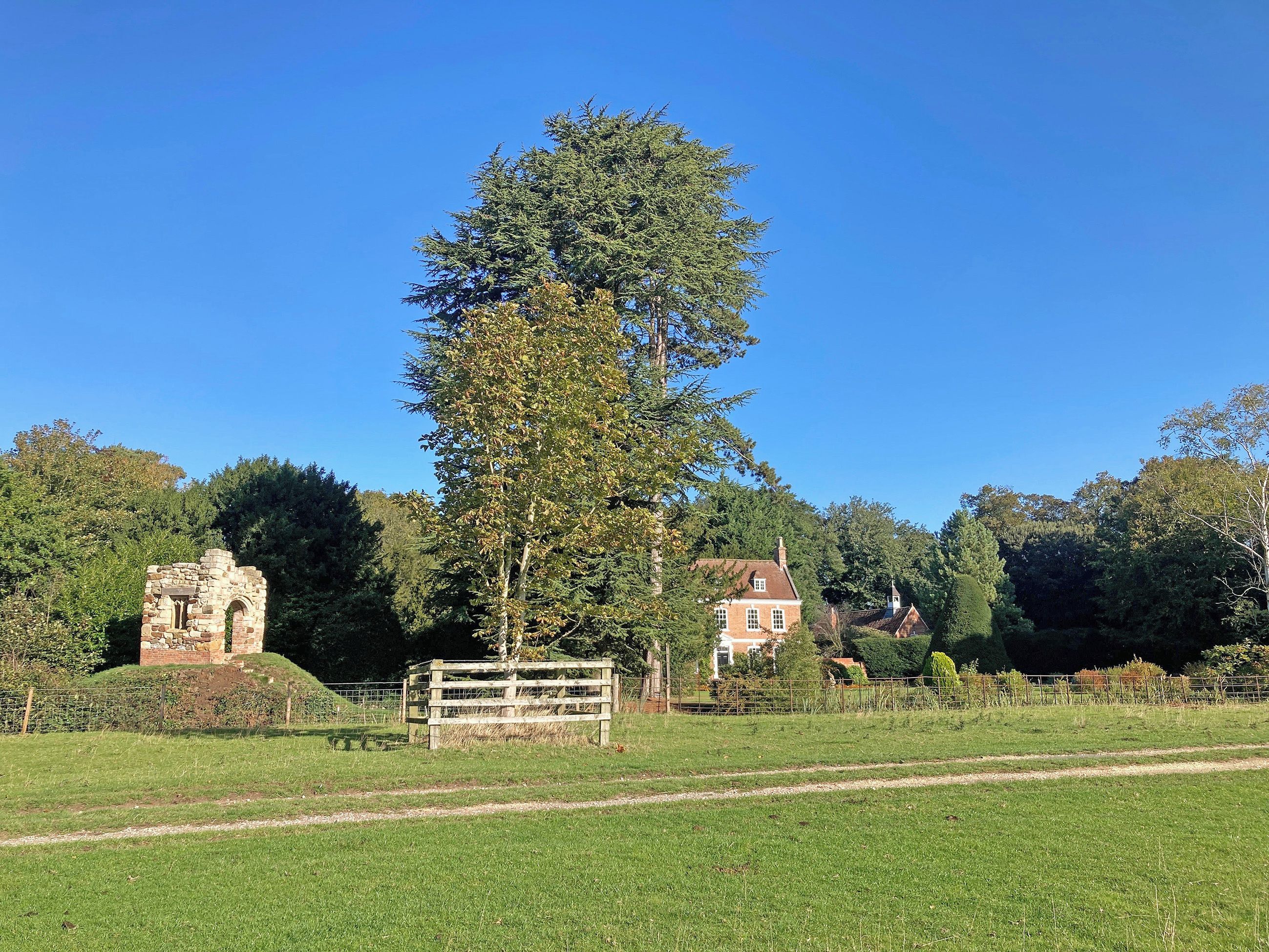 A rural landscape with a stone ruin, a tall tree, and a red house.