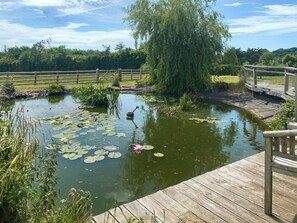 Property grounds - Deerview Lodge - UK51044 (Bonvilston)