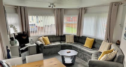 Silver Birch - UK3341