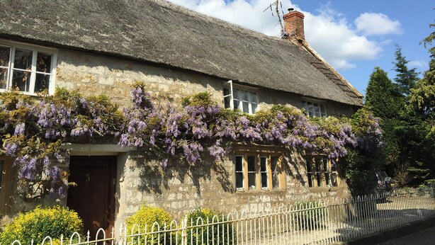 A stone house with a thatched roof, ivy, and a white metal fence.