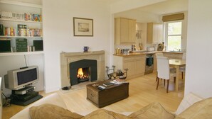 Una sala de estar con chimenea, televisor y estantería.