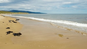 A beach with sand, seaweed, and waves.