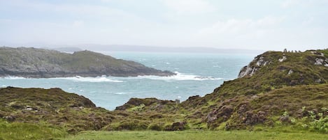 A coastal landscape with grassy terrain and rocky outcrops.