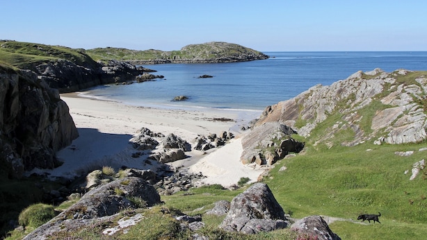 A coastal landscape with a sandy beach, rocky outcrops, and a grassy hill.