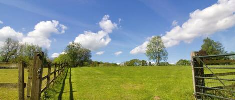 A rural landscape with a grassy field, wooden fence, and a metal gate.