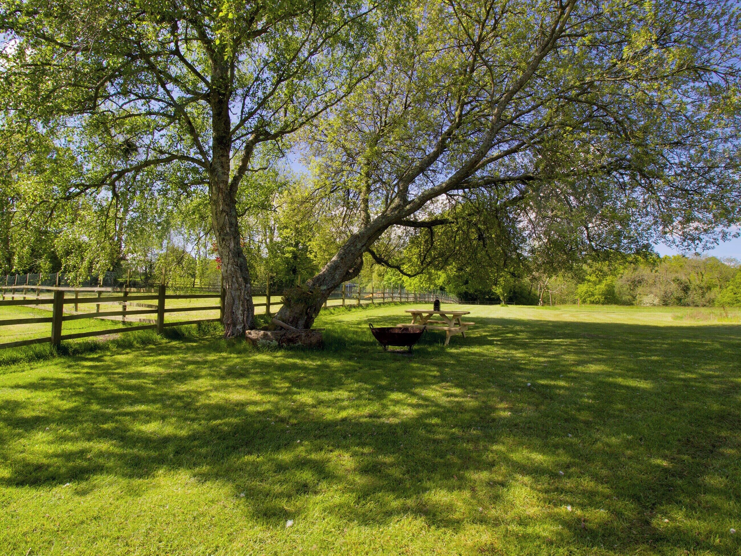 A grassy park with a picnic table and a barbecue grill.