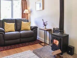 Fernseher, Kamin